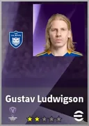 Gustav Ludwigson RWF card