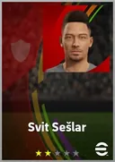 Svit Sešlar AMF card