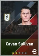 Carte de Cavan Sullivan · AMF