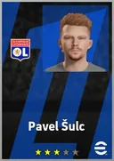 بطاقة Pavel Šulc · AMF