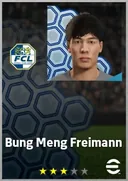 Bung Meng Freimann CB card