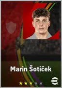 Marin Šotiček RWF card