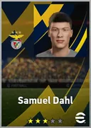بطاقة Samuel Dahl · LB