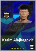 بطاقة Kerim Alajbegović · LWF