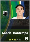 بطاقة Gabriel Bontempo · AMF