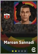 Maroan Sannadi CF card