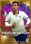 بطاقة Rafael van der Vaart · AMF