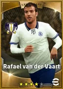 Carte de Rafael van der Vaart · AMF