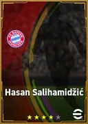 بطاقة Hasan Salihamidžić · RMF
