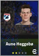 Aune Heggebø CF card