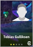 بطاقة Tobias Gulliksen · AMF