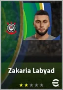بطاقة Zakaria Labyad · SS