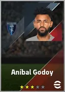 Aníbal Godoy DMF card