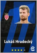 Lukáš Hradecký GK card