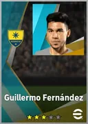 بطاقة Guillermo Fernández · DMF