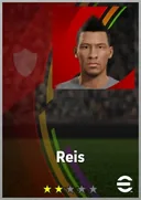 Reis LWF card