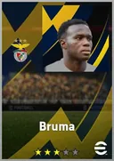 Bruma LWF card