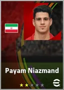 Carte de Payam Niazmand · GK