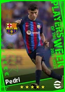 Pedri CMF card