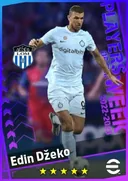 Edin Džeko CF card