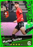 Martin Terrier LMF card