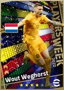 بطاقة Wout Weghorst · CF