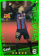 Gavi LMF card