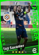 Téji Savanier AMF card
