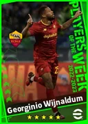 بطاقة Georginio Wijnaldum · CMF