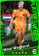 بطاقة Wout Weghorst · CF
