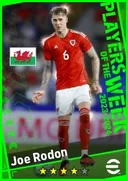 بطاقة Joe Rodon · CB
