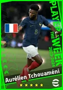 بطاقة Aurélien Tchouaméni · DMF
