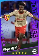 Elye Wahi CF card