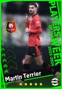 Martin Terrier CF card