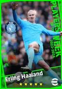 Carte de Erling Haaland · CF
