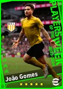 João Gomes CMF card