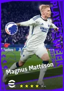 بطاقة Magnus Mattsson · AMF