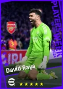 David Raya GK card