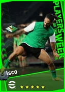 Isco AMF card