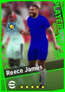 بطاقة Reece James · RB