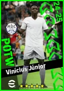 بطاقة Vinícius Júnior · LWF