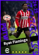 Carte de Ryan Flamingo · CB