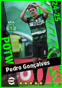Carte de Pedro Gonçalves · AMF