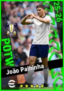 بطاقة João Palhinha · DMF