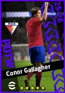 بطاقة Conor Gallagher · CMF