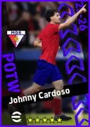 بطاقة Johnny Cardoso · DMF