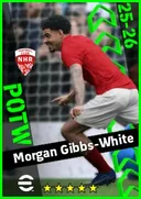 Carte de Morgan Gibbs-White · AMF