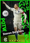 Steven Berghuis RWF card