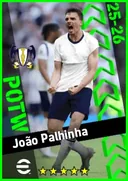João Palhinha DMF card