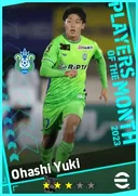 Ohashi Yuki CF card